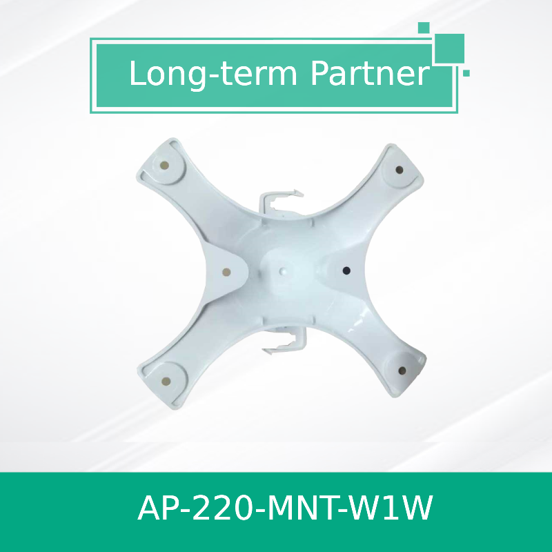 AP-220-MNT-W1W